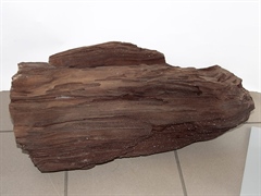 glitzerndes, verkieseltes Holz - Feenholz